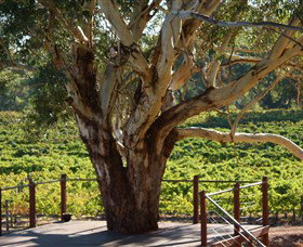 Upper Reach Winery And Cellar Door - Accommodation Brisbane 1