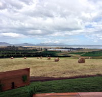 The Hazards Vineyard - Devil's Corner - Accommodation Brisbane