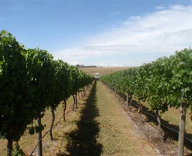 Cannibal Creek Vineyard - Accommodation Brisbane 1