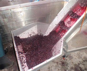 Cannibal Creek Vineyard - Accommodation Brisbane 6