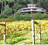 Peveril Vineyard/Beechy Berries - Accommodation Brisbane