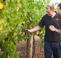 Fratin Brothers Vineyard - Accommodation Brisbane