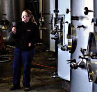 Holm Oak Vineyard - Accommodation Brisbane