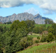 Lake Barrington Vineyard - Accommodation Brisbane