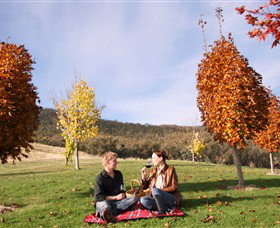 Gapsted Wines - Accommodation Brisbane 5