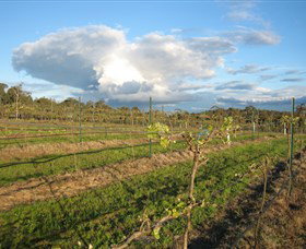 Flyfaire Wines - Accommodation Brisbane 7
