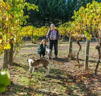 Little River Wines of Taggerty - Accommodation Brisbane