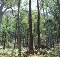 Cathedral Range State Park - Accommodation Brisbane