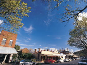 Drysdale Cheeses - Accommodation Brisbane 1