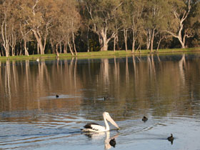 Drysdale Cheeses - Accommodation Brisbane 7