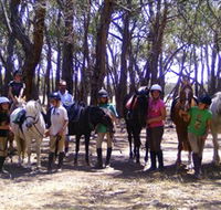 Bellarine Horse Riding Centre - Accommodation Brisbane
