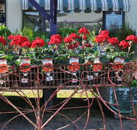 Van Loon's Nursery - Accommodation Brisbane