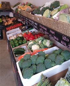 Farmers Harvest - Accommodation Brisbane 1