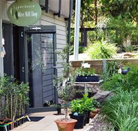 The Lighthouse Olive Mill Shop - Accommodation Brisbane
