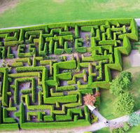 Hedgend Maze and Healesville Laser Sport - Accommodation Brisbane
