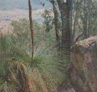 Mount Lawson State Park - Accommodation Brisbane