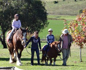 Bathurst Farm Experience - Accommodation Brisbane 0
