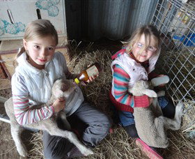 Bathurst Farm Experience - Accommodation Brisbane 4