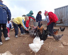 Bathurst Farm Experience - Accommodation Brisbane 2