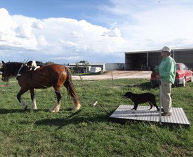Bathurst Farm Experience - Accommodation Brisbane 6