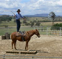 Boggy Creek Shows - Accommodation Brisbane
