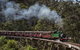 Puffing Billy Steam Railway - thumb 0