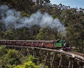 Puffing Billy Steam Railway - Accommodation Brisbane 0
