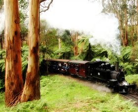 Puffing Billy Steam Railway - Accommodation Brisbane 5