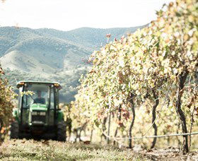 Logan Wines - Accommodation Brisbane 5