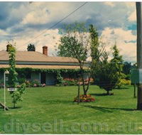 Tumut Valley Violets - Accommodation Brisbane