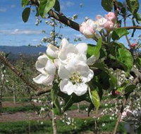 Mouat's Farm - Accommodation Brisbane