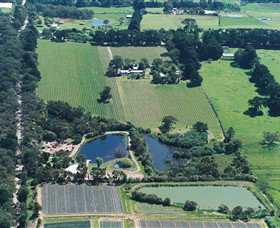 Ten Minutes By Tractor - Accommodation Brisbane 2