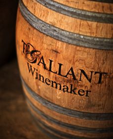 T'Gallant Winemakers - Accommodation Brisbane 0