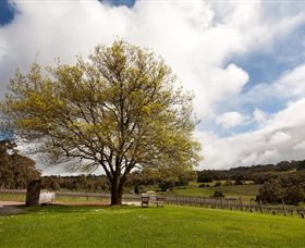 Tuck's Ridge - Accommodation Brisbane 2