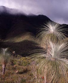 Bluff Knoll, Stirling Range National Park - Accommodation Brisbane 3