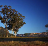 Capertee Valley Bird Trail - Accommodation Brisbane