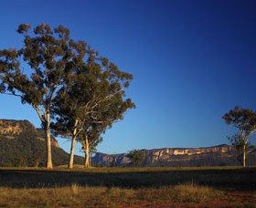 Capertee Valley Bird Trail - Accommodation Brisbane 0