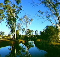 Dingo Creek Park - Accommodation Brisbane