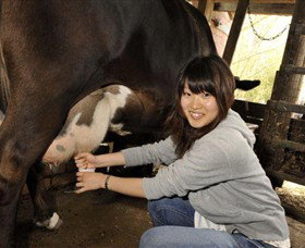 Warrook Farm - Accommodation Brisbane 2