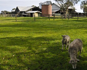 Warrook Farm - Accommodation Brisbane 4