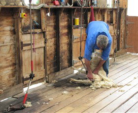 Warrook Farm - Accommodation Brisbane 3