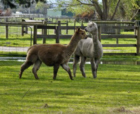 Warrook Farm - Accommodation Brisbane 6