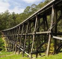 Noojee Trestle Bridge - Accommodation Brisbane