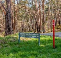 Lobs Hole Ravine 4WD Trail - Accommodation Brisbane