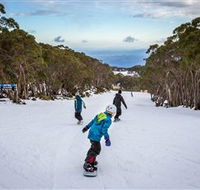 Mt Baw Baw Alpine Resort - Accommodation Brisbane