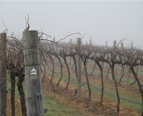 Small Forest Wine - Accommodation Brisbane 1