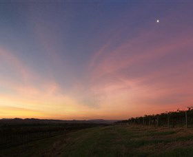 Small Forest Wine - Accommodation Brisbane 2