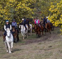 Burnelee Excursions on Horseback - Accommodation Brisbane