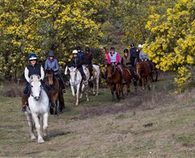 Burnelee Excursions On Horseback - Accommodation Brisbane 0