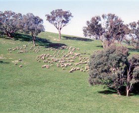 Burnelee Excursions On Horseback - Accommodation Brisbane 2